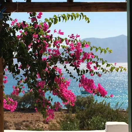 Appartement Apollon